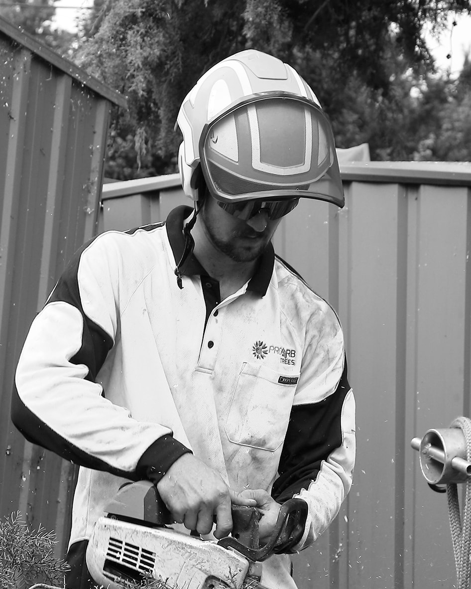 Isaac Hennessy - Qualified Canberra Arborist