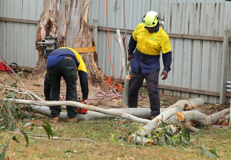 Canberra Tree Removal: Ground work