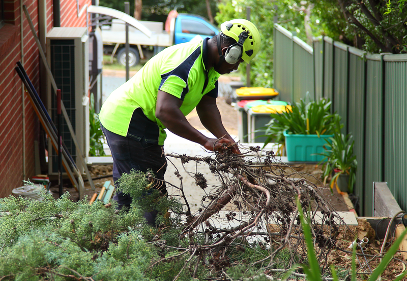 Canberra Tree Removal: ground work clean up
