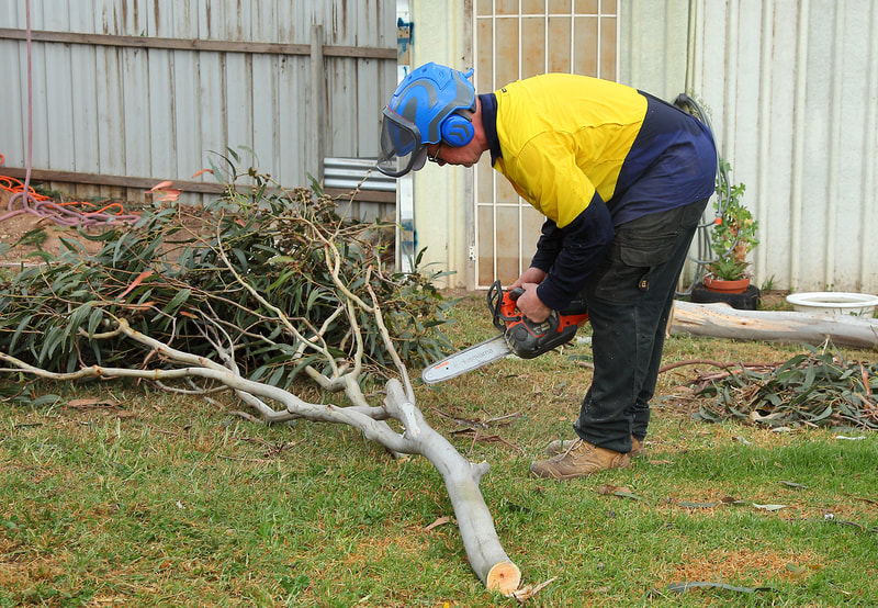 Canberra Tree Removal: Ground work