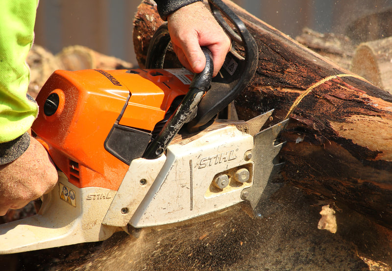 The 460 cutting the big wood down to size