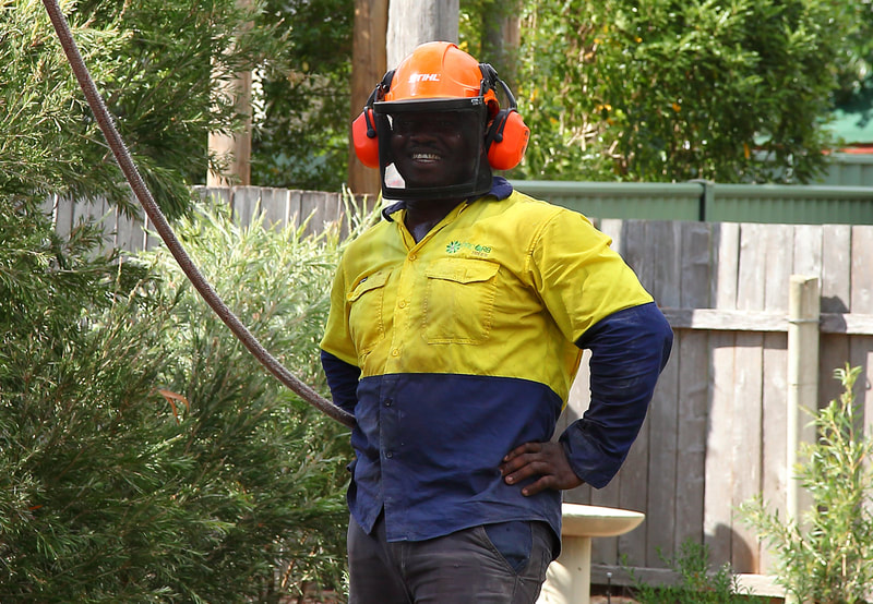 Canberra Tree removal specialists – EVO Energy accredited – ground crew, lowering rigging