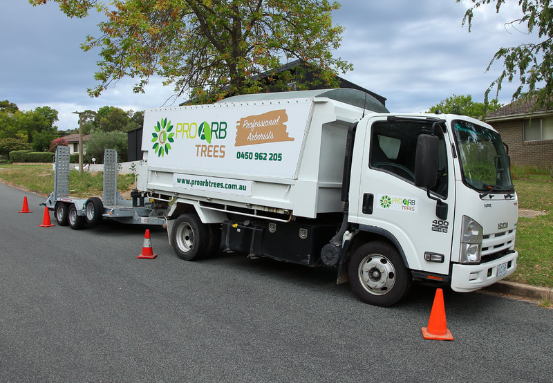 Canberra Tree removal specialists – EVO Energy accredited. Truck and Avant Pro trailer