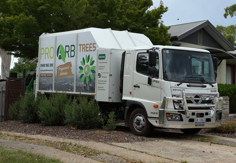 Canberra Tree removal specialists – Truck and chipper