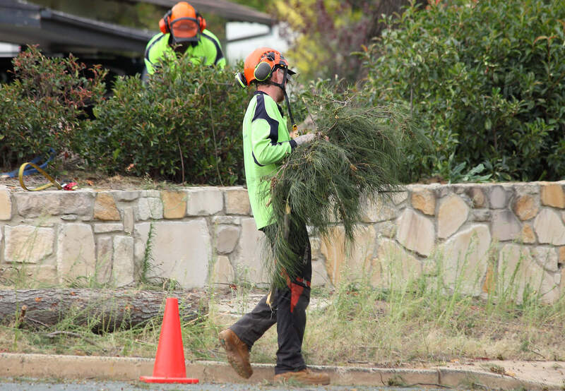 Rubbish clean up after removing the tree in Canberra