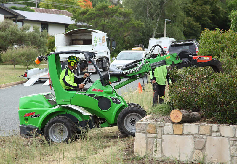 Avant Pro, doing the heavy lifting. Pro Arb Trees Canberra Arborists